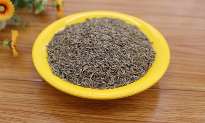 Caraway Seeds Shahi Jeera